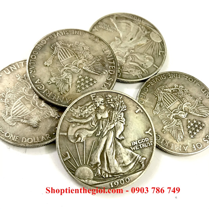 Xu Mỹ - USA 1 Dollar Liberty 1900 (FAKE) - SP005320